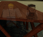 A picture of True and Esmeralda finally reunited as well, and relaxing on the dock.