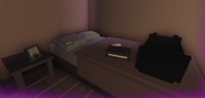 A collection of somnl's belongings in the motel room.