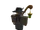 Rykwah