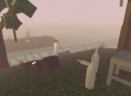 DaxHaskett traveling across railroad tracks and seeing something. The next letter is also close by on a rock.