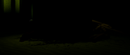 The dead crow that can be found in the center of the bushes.