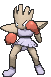 Hitmonchan XY.gif