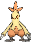 Combusken-M XY.gif