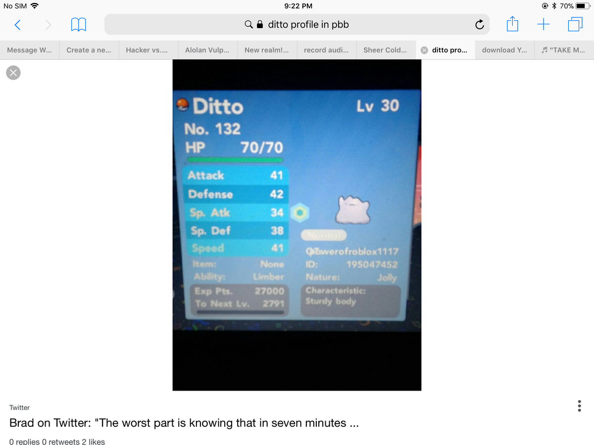 User blog:CKS355/Pokémon Brick Bronze | Pokémon Brick Bronze Wiki | Fandom