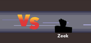 VS Gym Leader Zeek