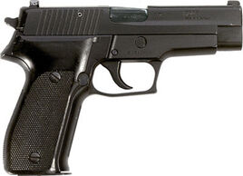 P226