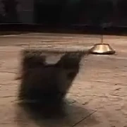 A failed attack on Ground Zero sends Wipe Out #2 flying Florida air.