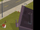 Dog Ra 18.png