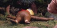 Yogi after getting shot to death.