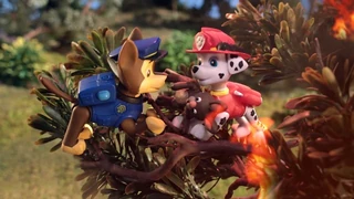 Paw Patrol