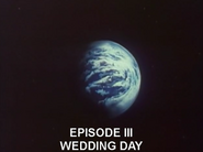 3: "Wedding Day"