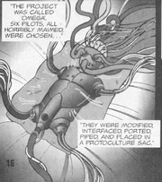 Omega 6 Aftermath 12