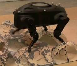 little dog robot