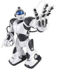 Nao (robot) - Wikipedia