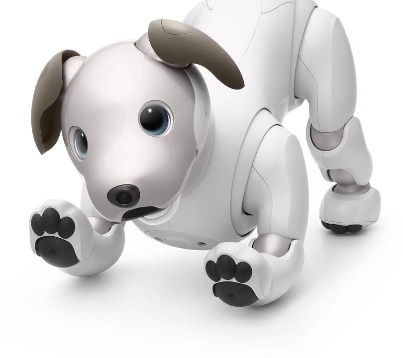 File:Sony, aibo (cane robot), anni 2000 (ist. biorobotica polo