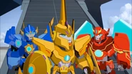 Buzzstrike | Transformers: Robots in Disguise Wiki | Fandom
