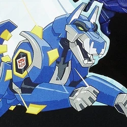 Transformers Robots In Diguise Minicon Ransack Cyclone