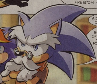 charles the hedgehog