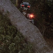 S-A-I-N-T Number 2 hiding behind a tree