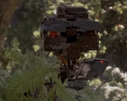 S-A-I-N-T Number 1 with mud on face