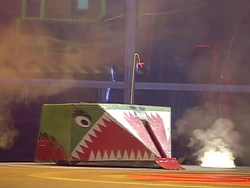 Maverick in the Sumo Basho arena