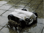 Manic Mutant without its shell