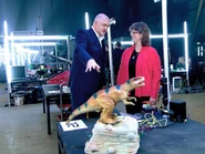 Turbulence makes another appearance behind Dara Ó Briain in Heat C