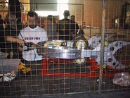 Krab-Bot in The Pits for Dutch Series 2
