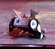 Cherub tries to do a handstand