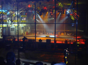 T-Bone and Bangalore Bertie in battle