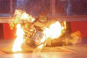 Coyote is torched on the Flame Pit