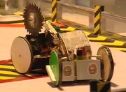 Buzzant and Lower tackle each other