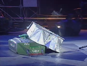 Ally Gator gets underneath Corporal Punishment