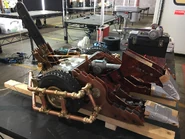 Coyote in the reserve tables for Series 10