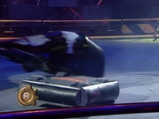 Rattus Rattus drives over S.M.I.D.S.Y.