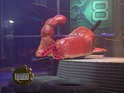 Scorpiononedge