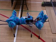 A walkerbot built by Rob Knight- this appeared at the Robot Roadshow, in 2002.