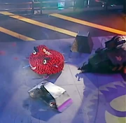 Nemesis hopes for the kebab to be roasted