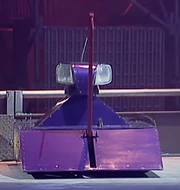 Wild Willy in the arena