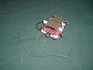 The turtle photovore.jpg (10 KB) The Turtle, a Photovore