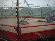 Tough as Nails is pitted by Ewe 2 in 2004