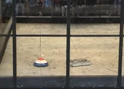 Typhoon Cadet taking on Irate Baggage Handler