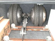 Stinger at the Series 3 auditions