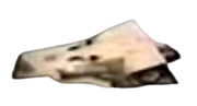 Dragbot official