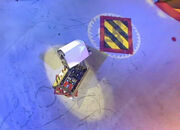 Panic Attack is hit by a washing machine