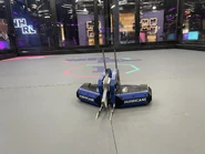 Hurricane NHRL Arena 2024.jpg (200 KB) Hurricane in the NHRL 30lb arena (2024)