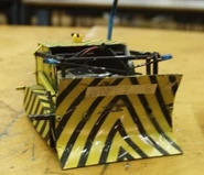 The original Anty B (AKA Ickle Behemoth)