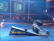 Mousetrap vs Stinger