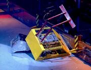 Atomic gets a face full of camera