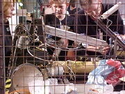 Yeborobo without its armour